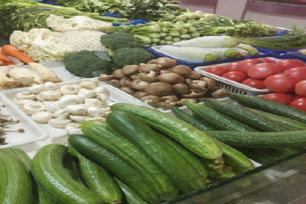 淘菜菜在哪里找_淘菜菜在哪里找_淘菜菜在哪里找
