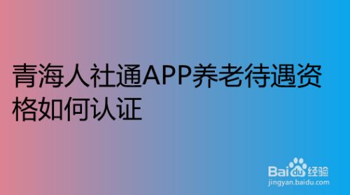 河北人社养老资格认证_河北人社养老资格认证_河北人社养老资格认证