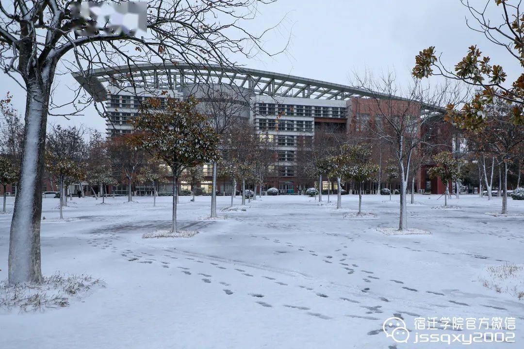 风晴雪是什么电视剧_风晴雪_风晴雪图片