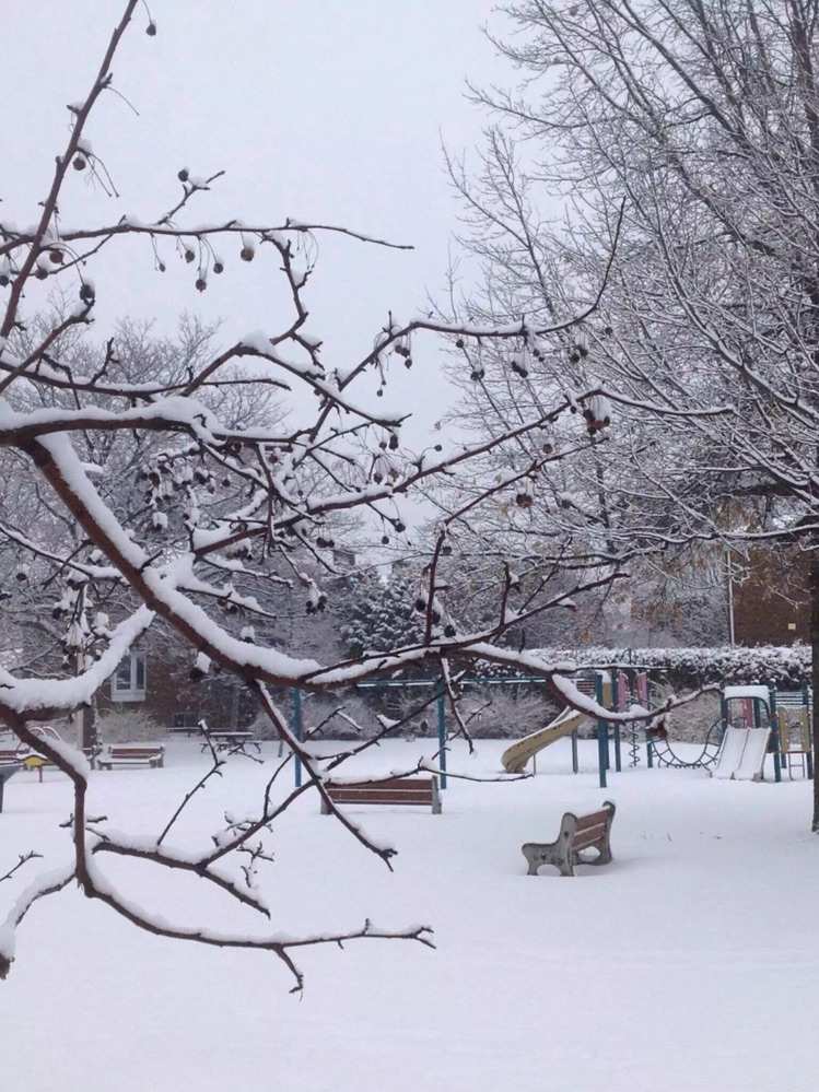 风晴雪图片_风晴雪_风晴雪是什么电视剧