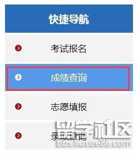 查成绩在线登录学生端_智学网成绩查询入口app下载学生版_查询学生成绩网站