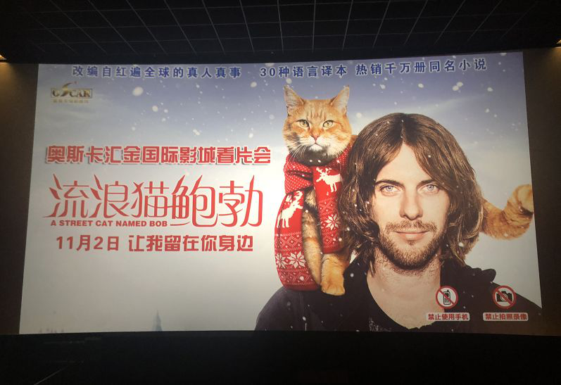 酷猫电影mp4下载_酷猫电影网mkv下载_酷猫电影网