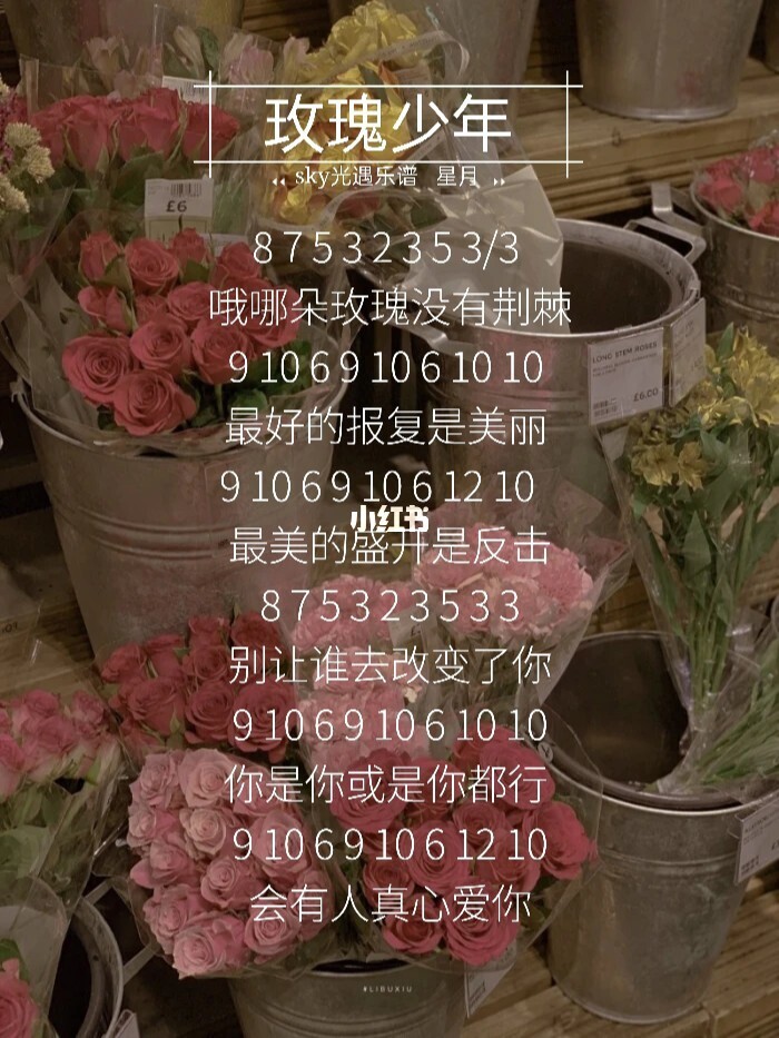 搜索玫瑰少年琴谱_玫瑰少年钢琴谱简谱光遇_玫瑰少年光遇琴谱
