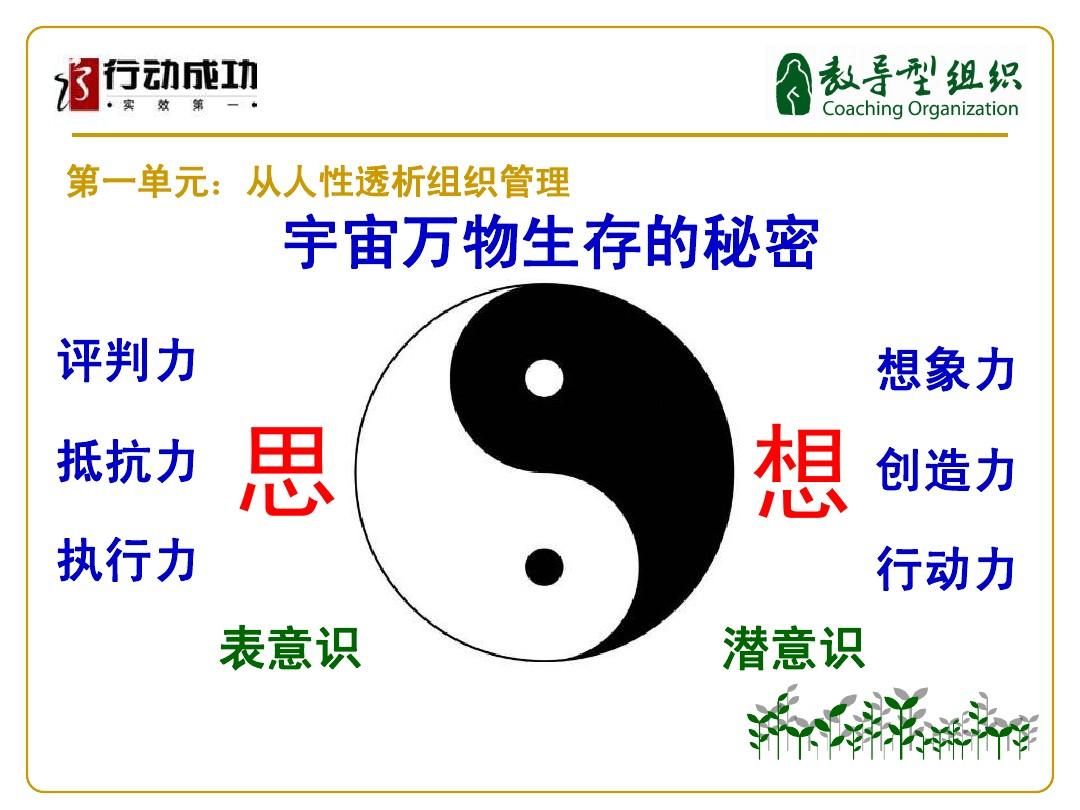 魁奇思_魁奇思_魁奇思