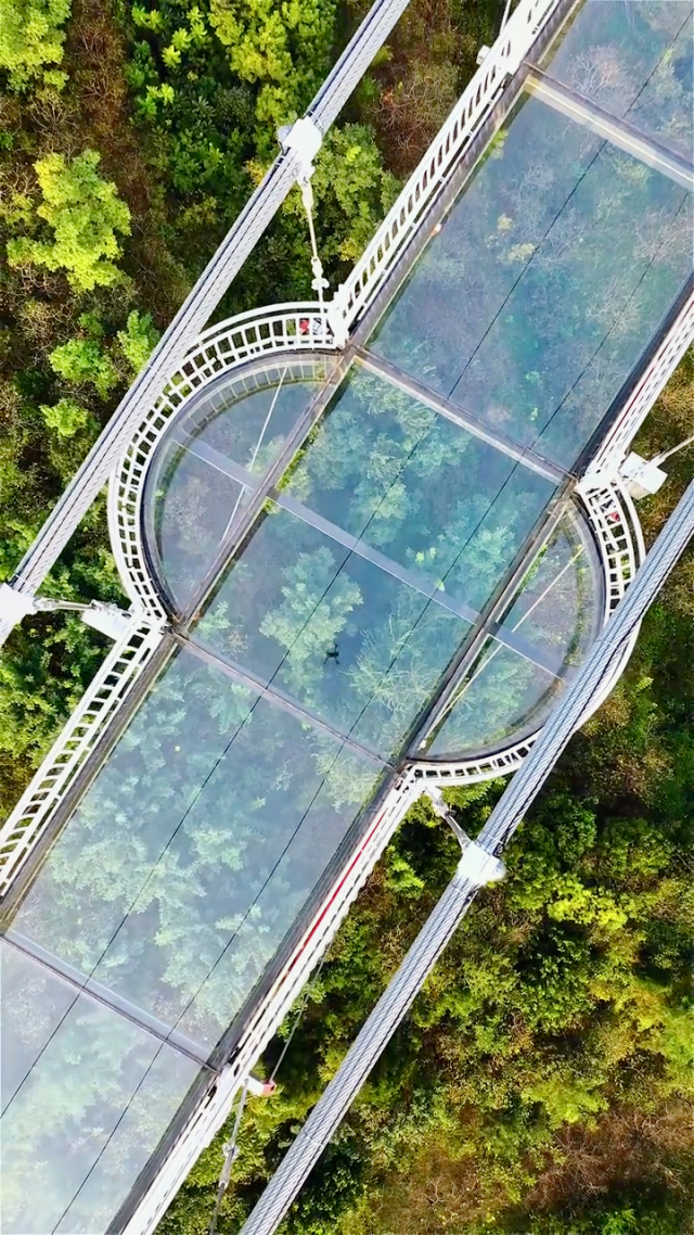 跳玻璃桥游戏手机版_跳桥游戏攻略_跳桥的游戏