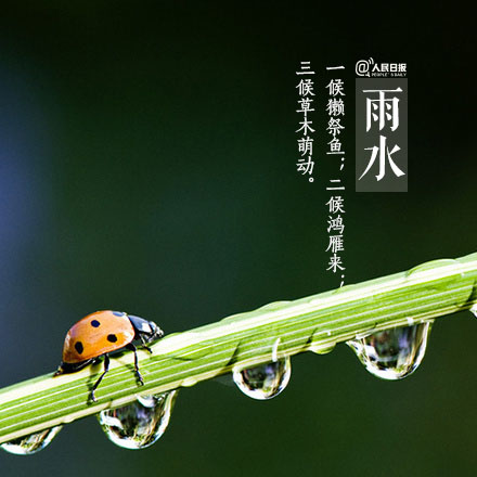 庐山6月天气雨水_雨水是几月几日?_雨水是天空哭过的痕迹