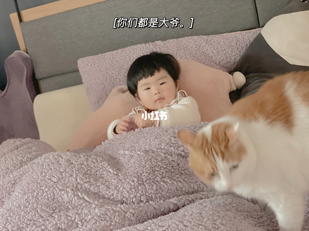 阿布姐姐死了没_阿布姐姐死了_阿布姐姐