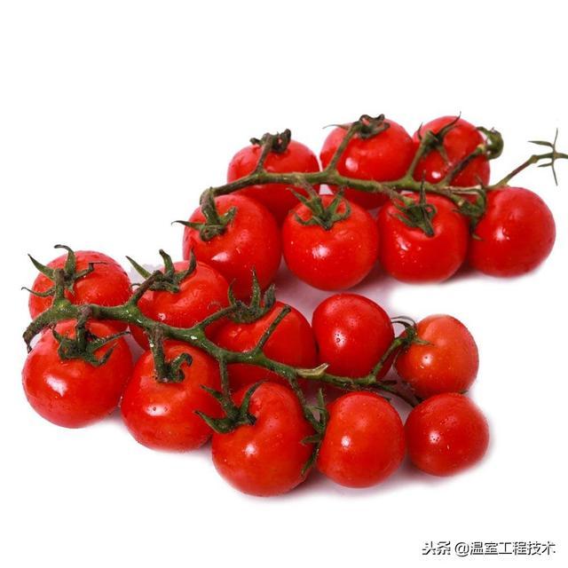 旺肖定在龙马蛇兔是什么生肖_旺肖有哪几肖_肖旺