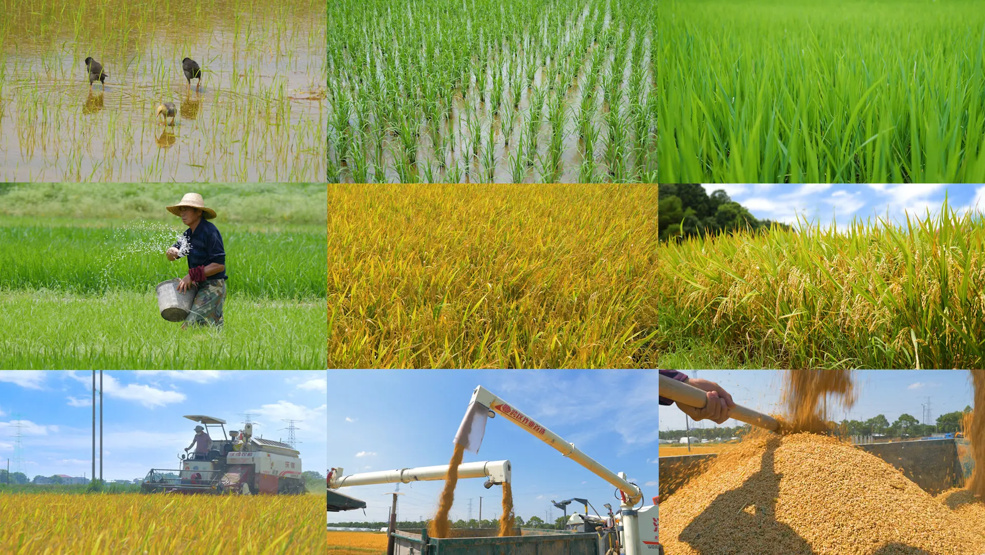 种地游戏排行_最新种地手机游戏_种地的手机游戏