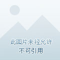 专门玩游戏的手机卡_游戏卡是手机好卡吗_手机卡玩什么游戏