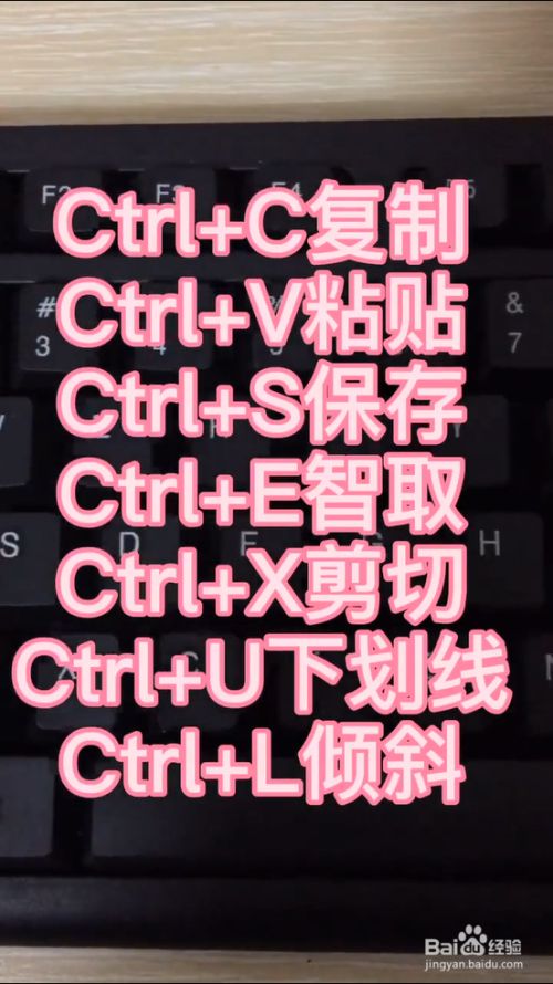 电脑键盘快捷键_电脑快捷键的_电脑快捷键按键
