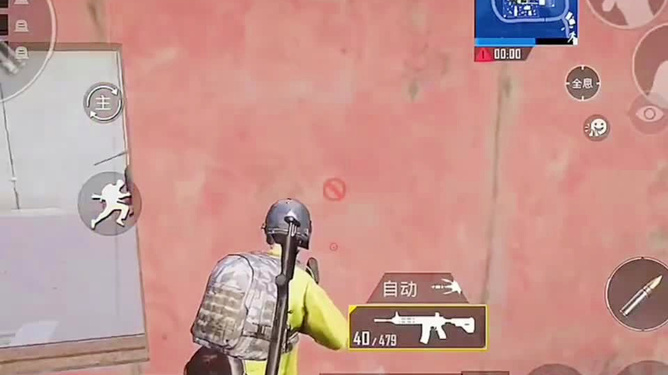 鸡饿游戏_最新手机版吃鸡游戏_鸡吃米游戏