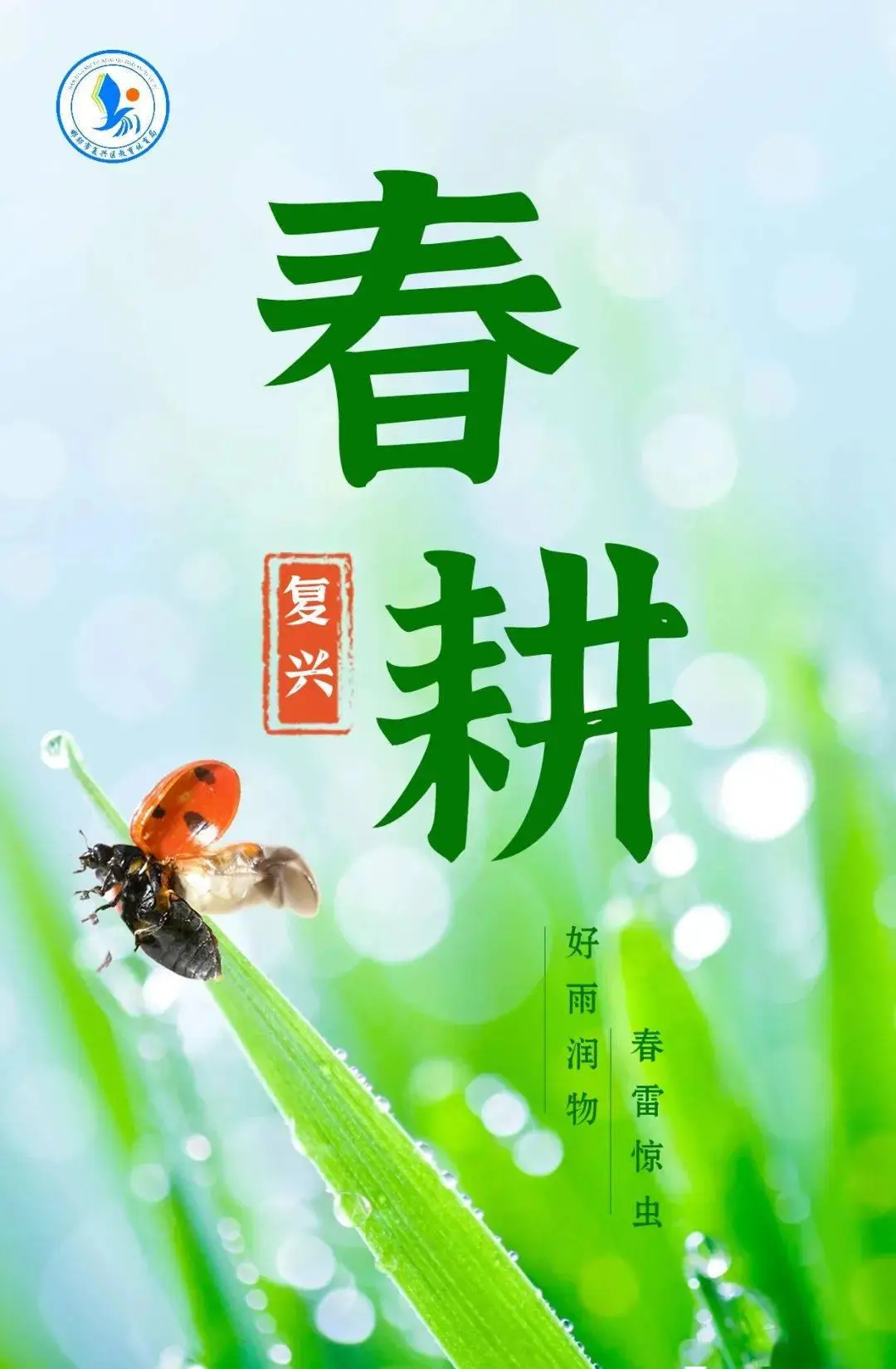 文案片宣传手机游戏怎么写_游戏手机的宣传片文案_手游文案策划