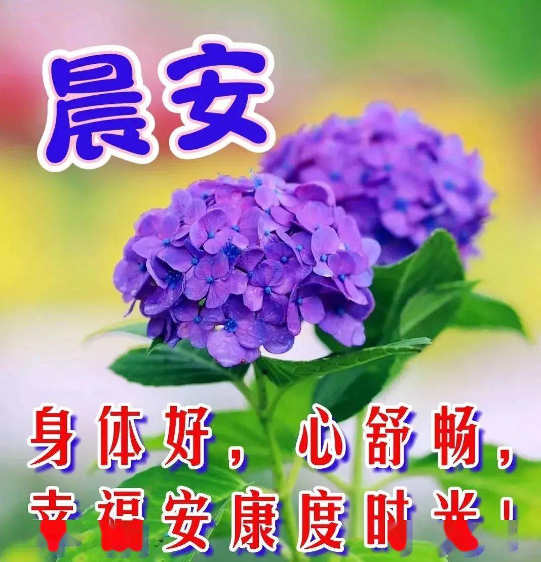 今天是什么_今天是什么日子_今天是自己的生日怎么祝福自己