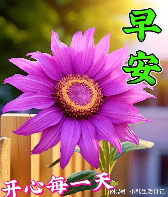 今天是自己的生日怎么祝福自己_今天是什么_今天是什么日子