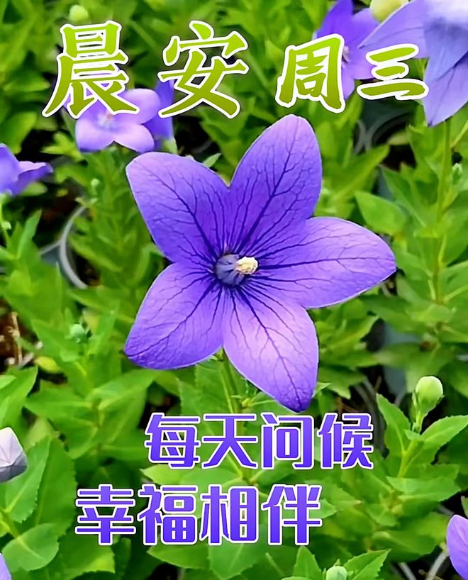 缘妙不可言出自哪里_妙缘意思_缘妙不可言
