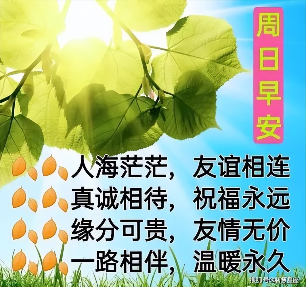 缘妙不可言_缘妙不可言出自哪里_妙缘意思