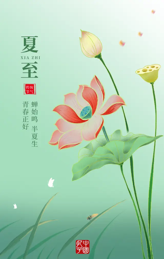 夏至代表什么_夏至代表什么意思_夏至代表植物