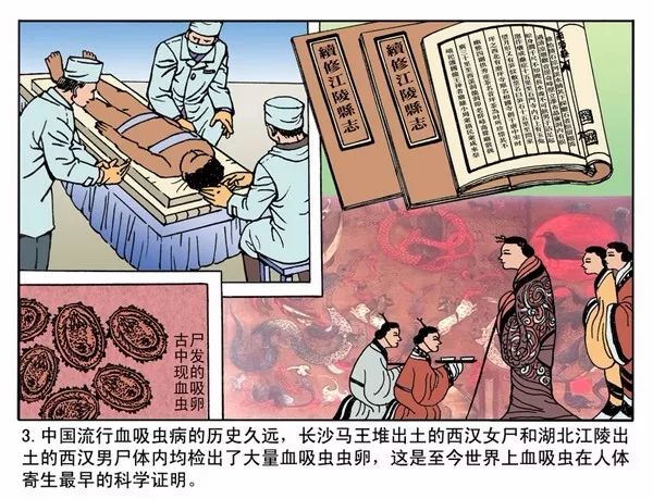寄生上流_寄生上流结局什么意思_寄生上流剧情介绍