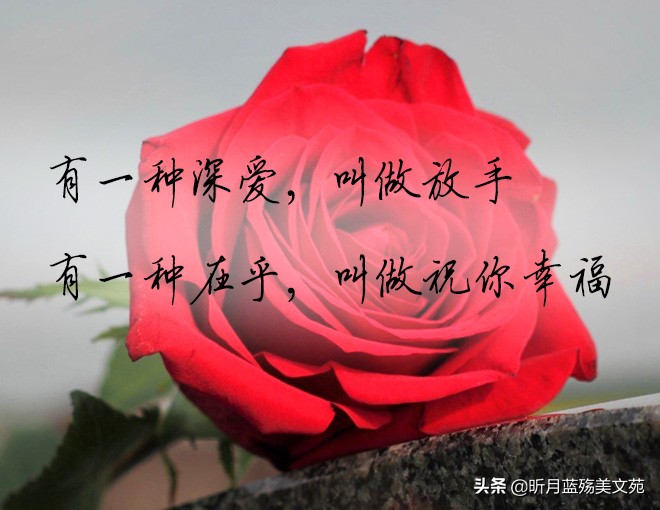 挺好吃的幽默回复_挺好的图片带字_不也挺好的吗