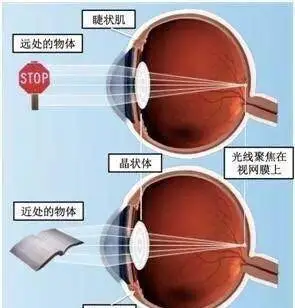 世界爱眼日是每年的多少号_世界爱眼日是每年的几月几号_世界爱眼日是几月几日日