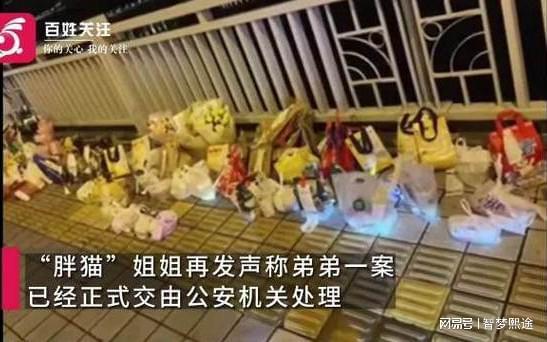 相姦手机游戏_照相游戏手机_手机相扑游戏