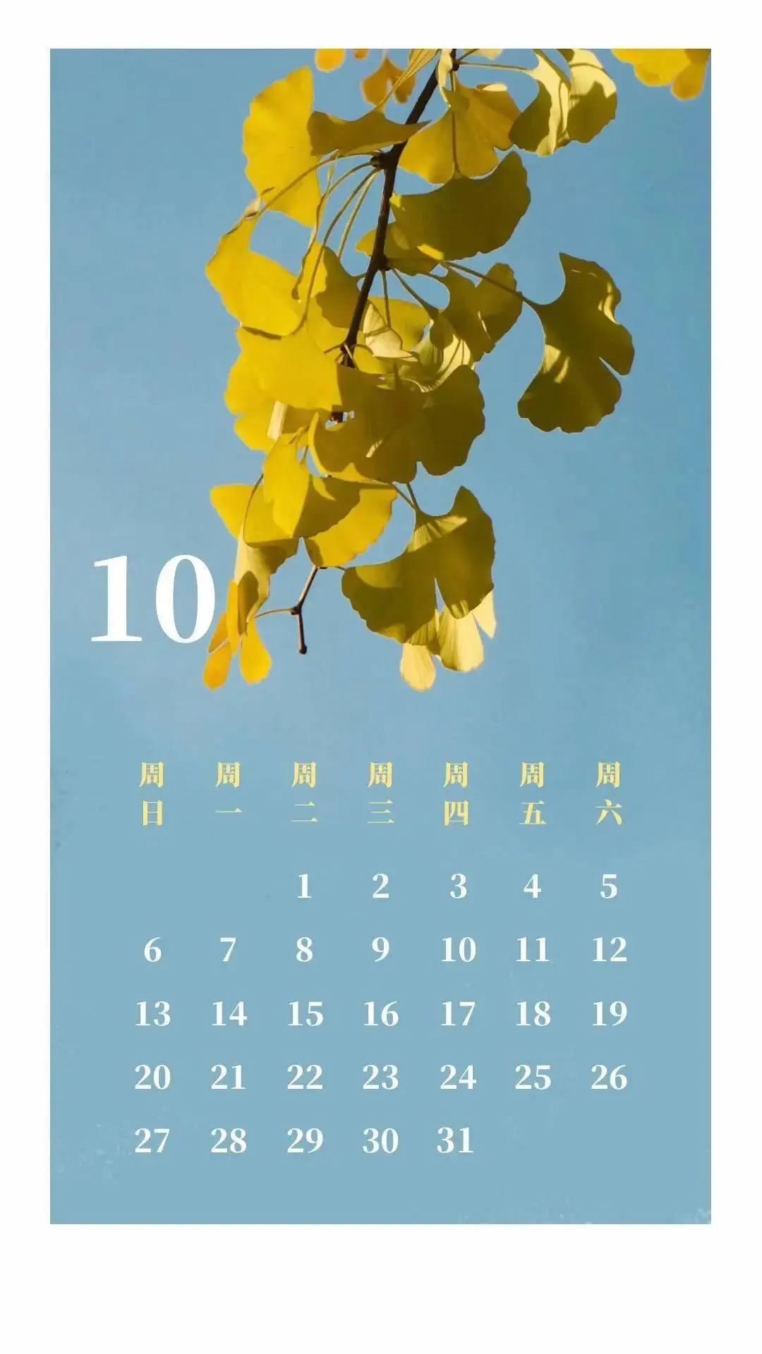 日历年度_2024日历年_2006年日历