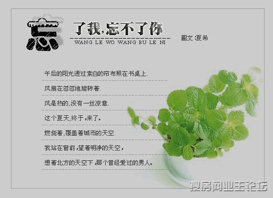 成濑_濑成块粤语什么意思_濑成块是什么意思