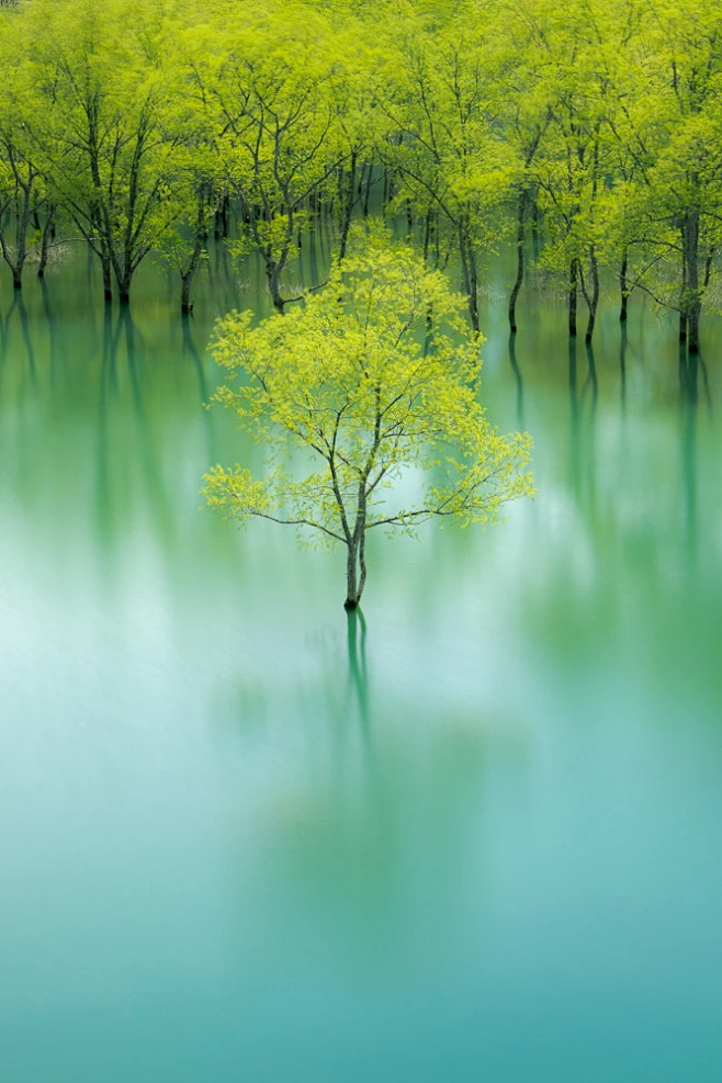 翔阳队员介绍_翔阳_翔阳日向