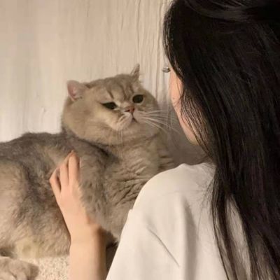 头像女生app_头像女生软件手机游戏是哪个_头像是女生的手机游戏软件