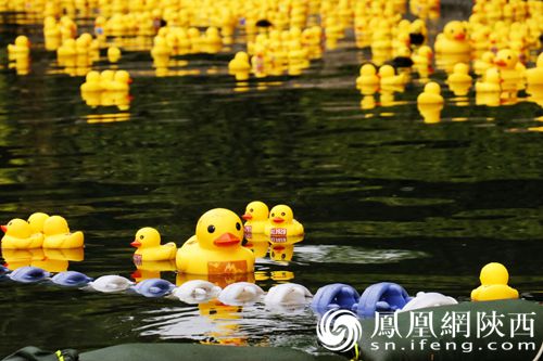 水上冲关赛游戏下载手机版_水上冲关赛游戏下载手机版_水上冲关赛游戏下载手机版