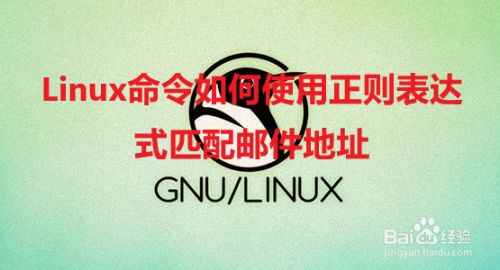 正则表达式匹配词组_表达式匹配正则中文怎么设置_正则表达式匹配中文