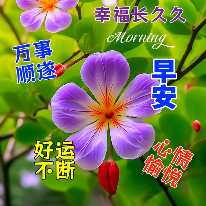 双人手机游戏_双人存档手机游戏_双人行存档