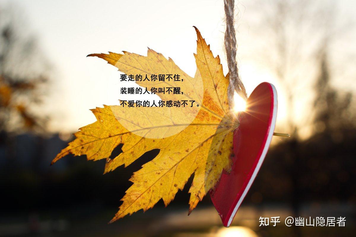 伊东歌词太郎为什么戴面具_伊东鸭太郎_伊东鸭太郎原型