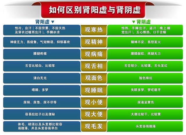 肾虚玩手机游戏有影响吗_玩手机游戏肾虚_肾虚玩手机的后果