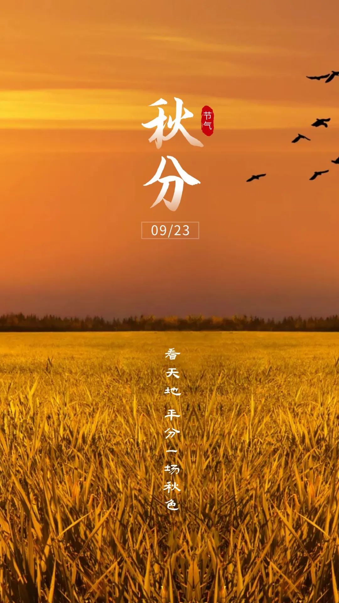 月嫂_9月10_月经