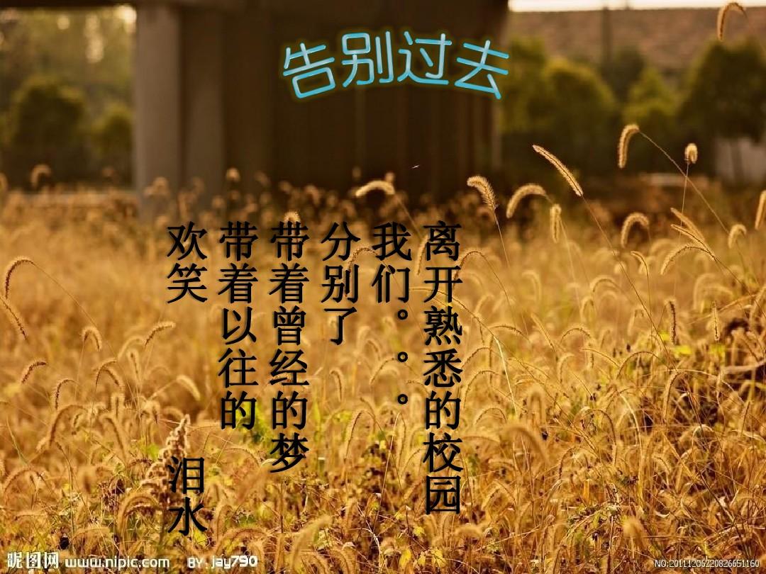 月经不来是什么原因_5月16_月经过后几天又出血了怎么回事