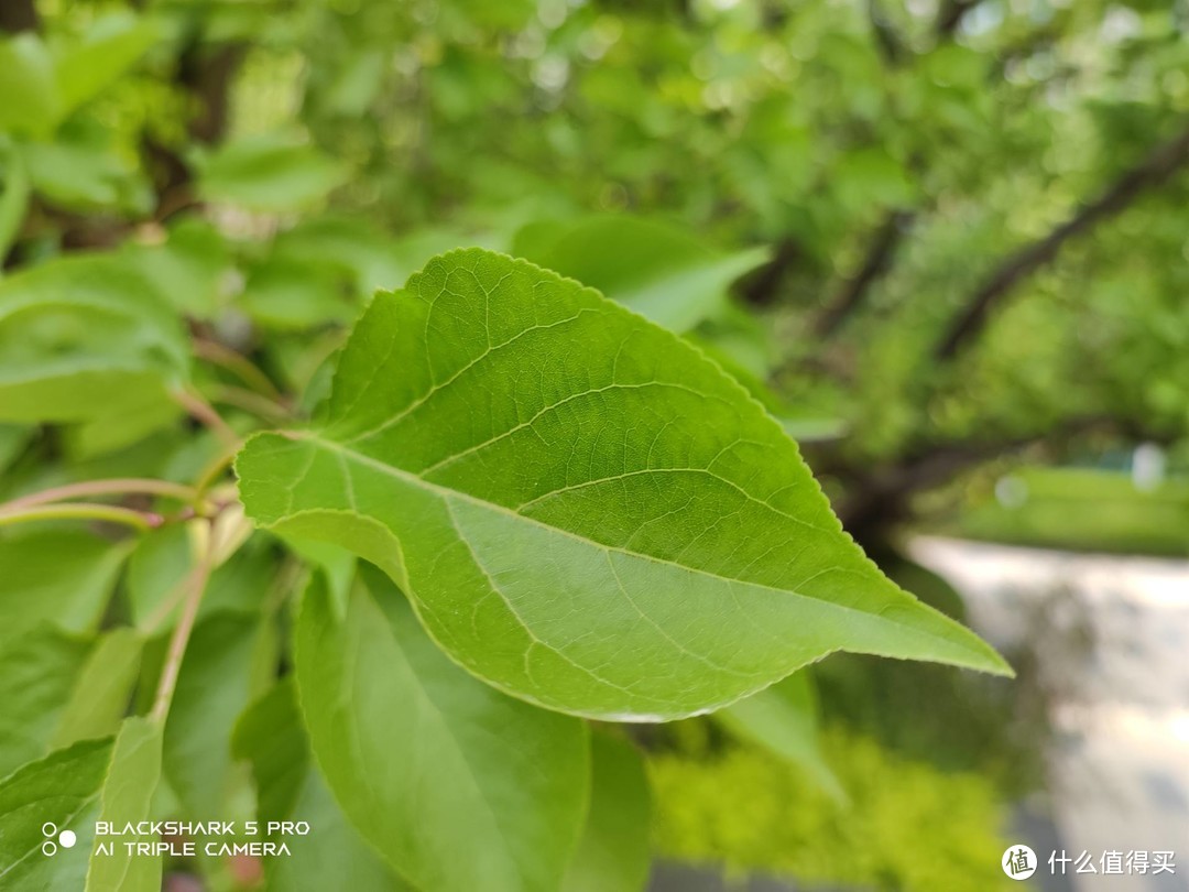 好玩的手机像素游戏推荐_游戏手机像素好手机推荐_好玩的手机游戏像素