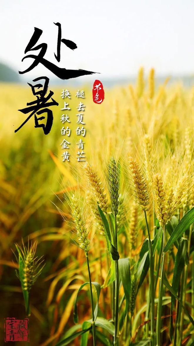 处暑的意思_处暑的意思是什_处暑一词的意思