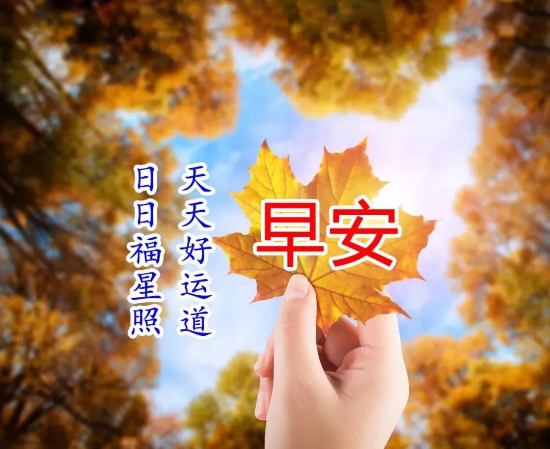 抹蜜茶色头发图片女生_小嘴抹了蜜_抹蜜的拼音