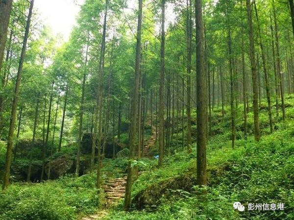 天鹰座裂缝之外_天鹰座裂缝之外剧情_裂隙之外天鹰座