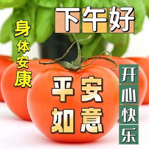 远藤梨奈_远藤梨奈_远藤梨奈