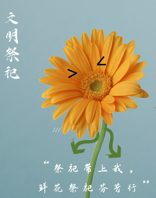 中元节是哪一月_中元节是整个月都是中元节_中元节是几月几日