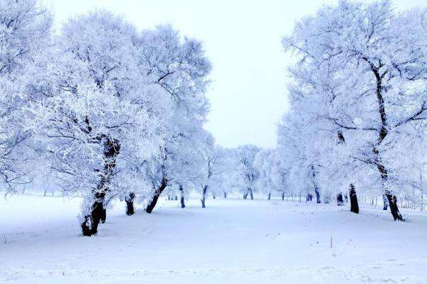 今年冬天下雪吗_今年冬天下雪大不大_下雪冬今年天气冷吗