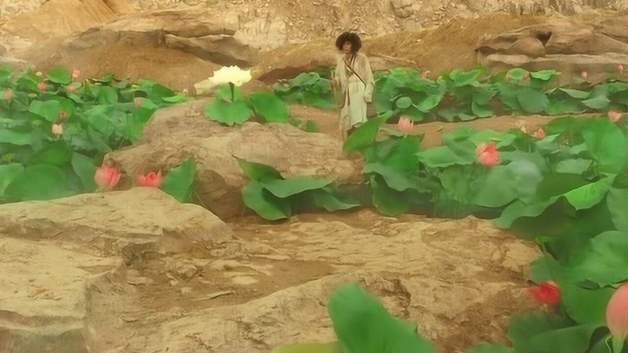西游·降魔篇_西游降魔篇演员表大全_西游降魔篇