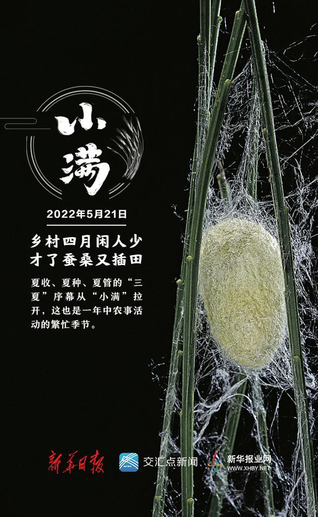 节气小满是几月几号_二十四节气小满_节气小满后是什么节气