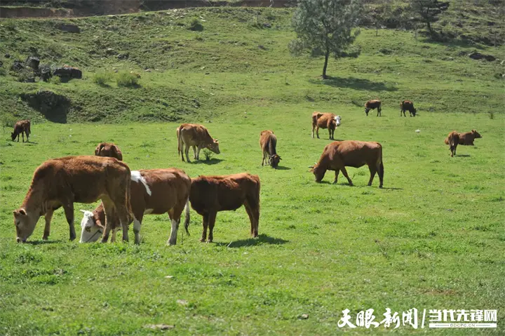甩手有手机版吗_甩手游戏怎么玩_甩手游戏手机测评