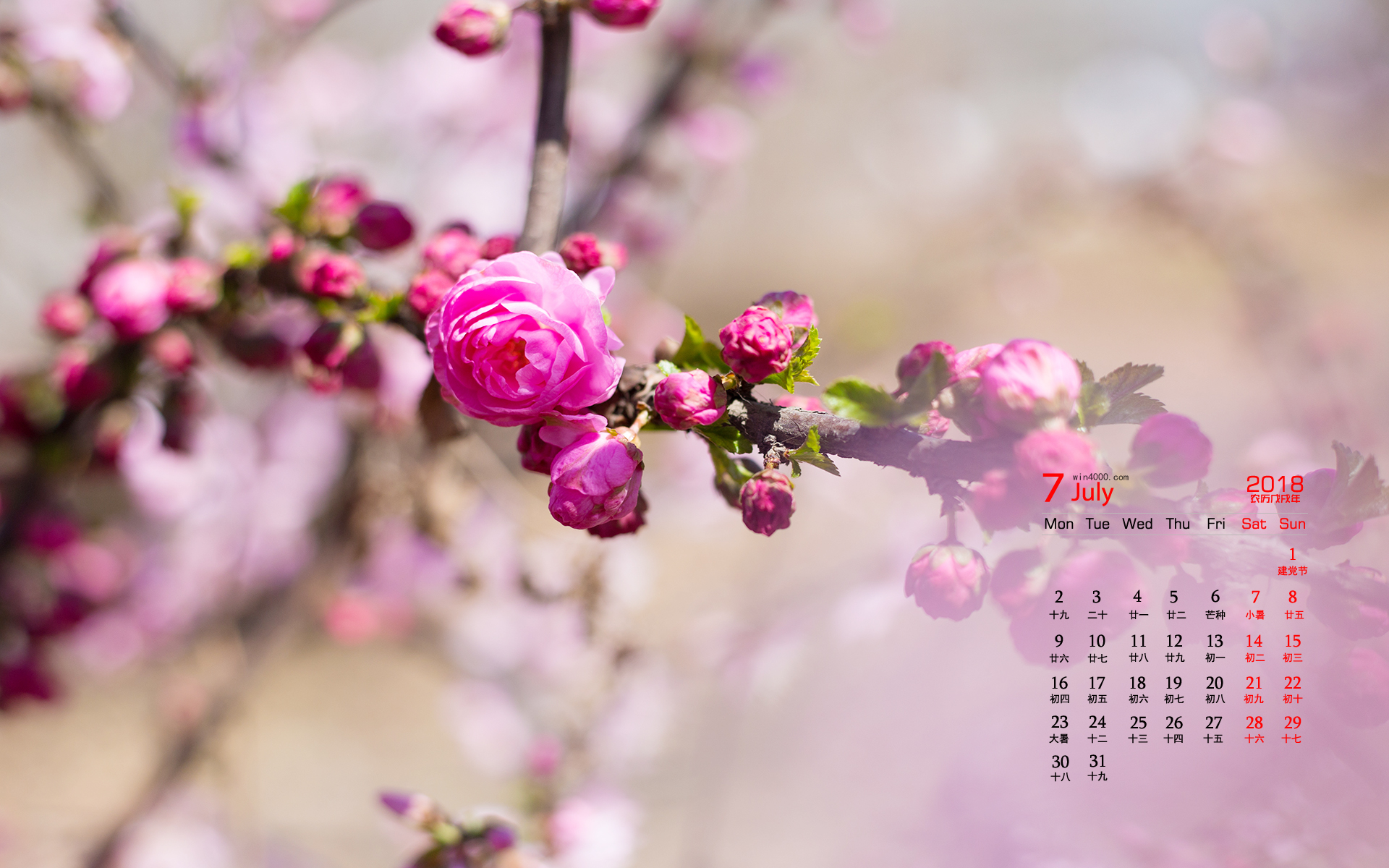 日历月份天数规律_日历月份_7月份日历表