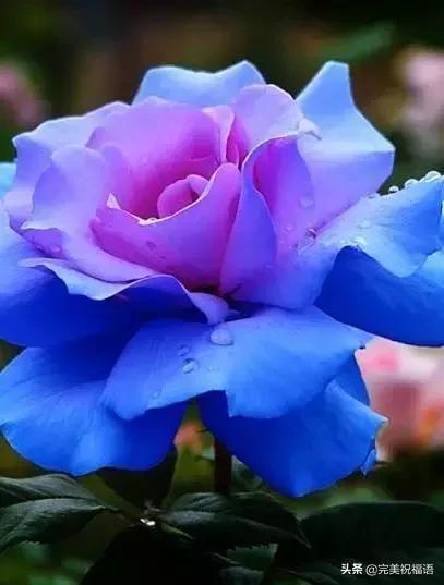 以前花费手机游戏有哪些_以前花费手机游戏叫什么_以前的手机游戏花费