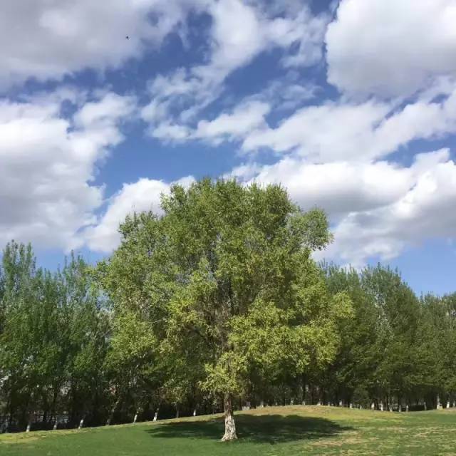 天空游戏手机摄影_摄影天空手机游戏怎么玩_摄影天空图片